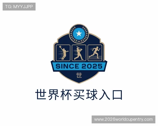 介绍世界杯买球入口